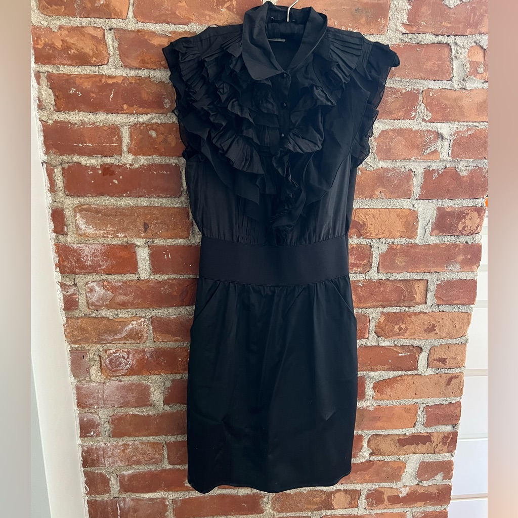 Bebe Ruffle Front Dress